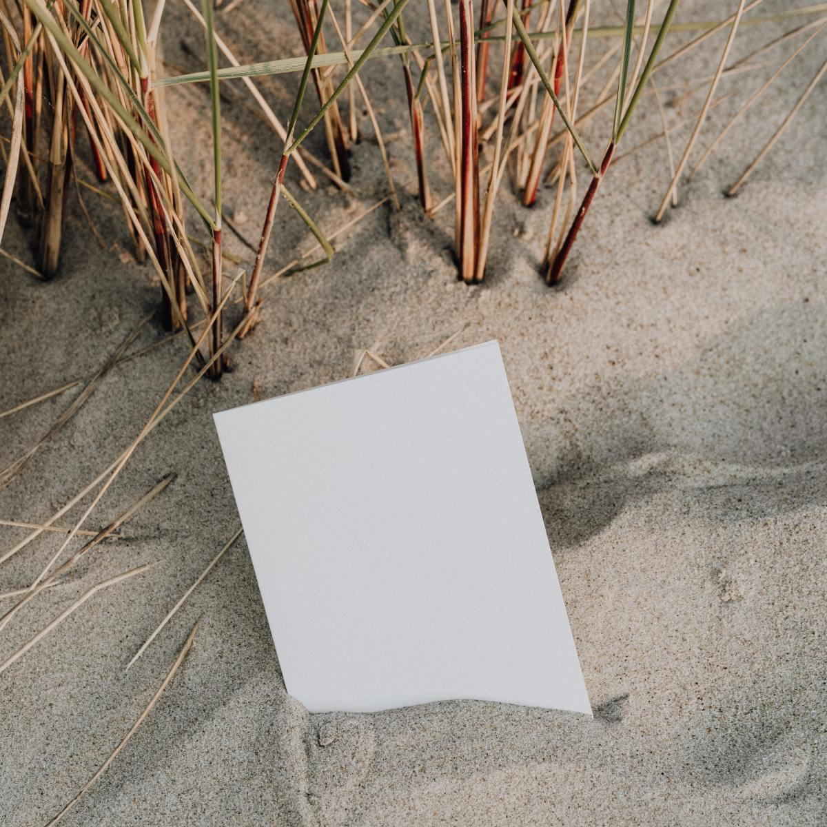 Рост заведений, которые реализуют  сексуализированную эксплуатацию, приводит к росту сексуализированных преступлений